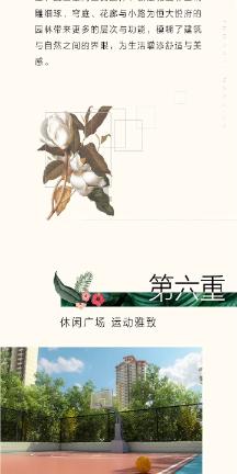 动物帮帮忙保卫家园