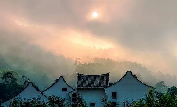 夏日的婚礼